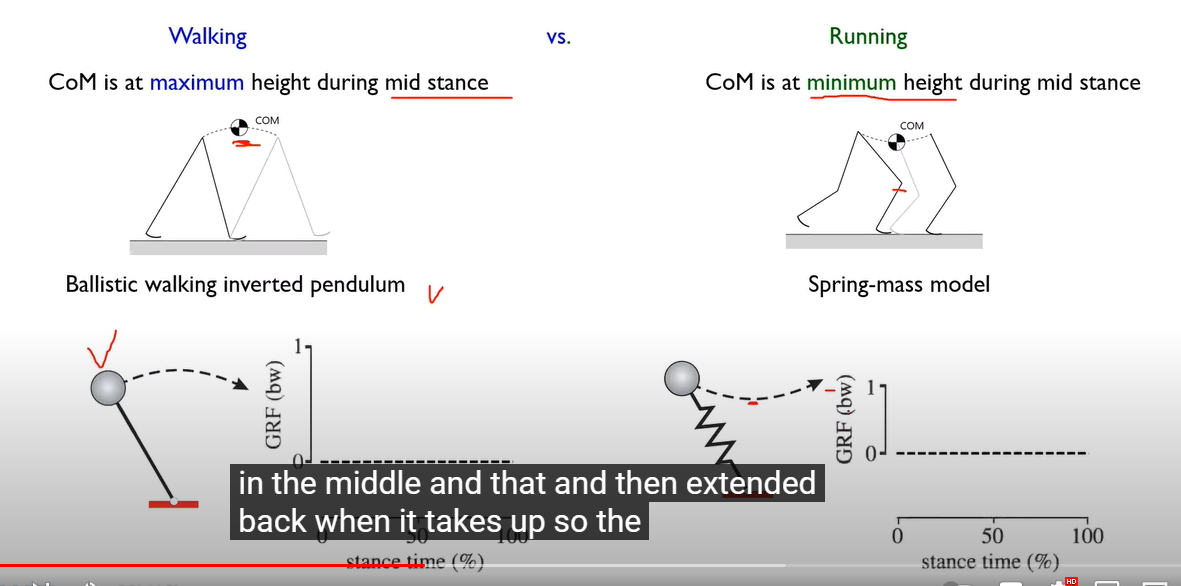 image-20230706111857952